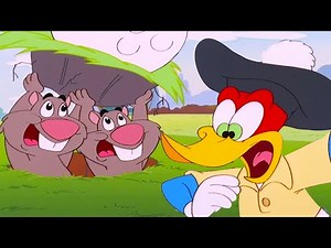 Woody Vs Gophers! | Woody Woodpecker | 1 Hour Compilation