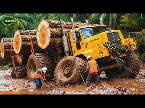 Extreme Dangerous Big Logging Wood Truck Driving Skill | Fastest Chainsaw Cutting Tree Machines #22