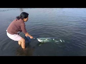 ASÍ SE PESCA EN EL RÍO CON ATARRAYA