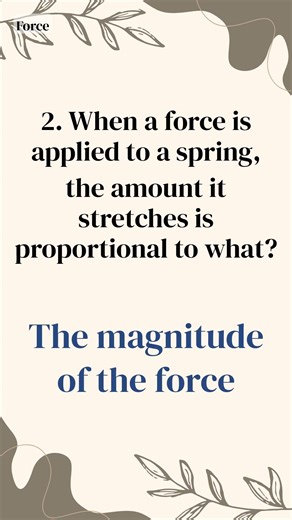 A Science Playground Your Brain Will Love - 1-Minute Science Quiz (868)