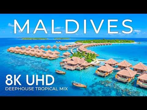 Maldives 8K Drone Footage | Sun-Drenched Coasts, Vivid Marine Life & Oceanic Dreams UHD
