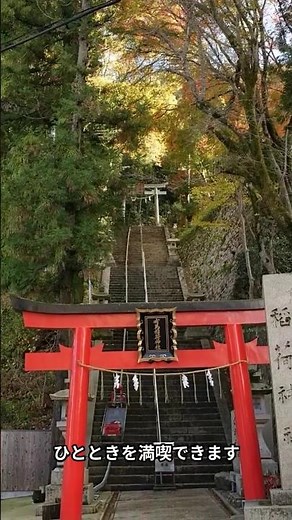 5 recommended spots and accommodations in Arima Onsen where you can stay with your dog