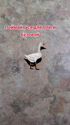 Adorable Duck and Goose Hybrid in Captivating Video