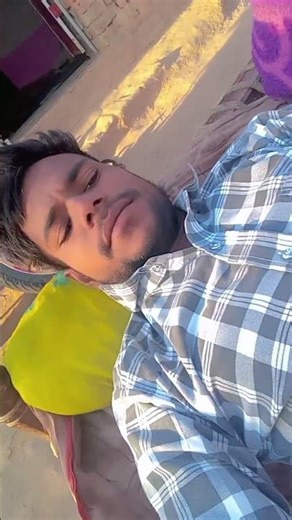 timli Gujarati Hindi