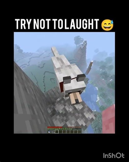 Try not to laugh 🤣#funnyvideo#funny#shortsfeed#shorts#vairalvideo#tranding