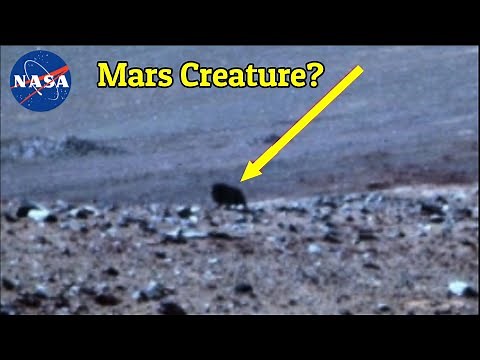 NASA's Opportunity Rover Captured Four Legged Mysterious Dark Creature On Mars