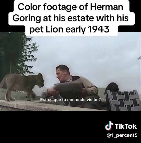 WW2 - History (@1_percent5)’s videos with Originalton - WW2 - History