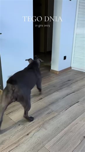 Prawdziwe wydarzenia tego dnia