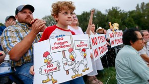 ‘No Tyson, no friggin’ chickens’: Proposed $320M meatpacking facility causes anti-industrial agriculture uproar