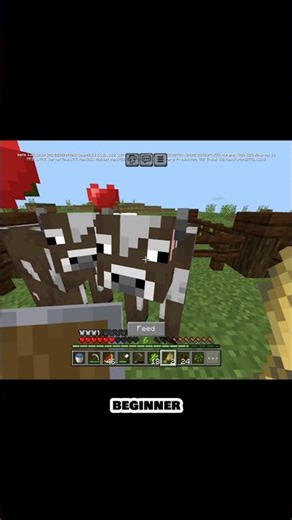 Building a Sheep & Cow Farm 🐑🐄 | Episode 2 – Part 3 | Minecraft Survival