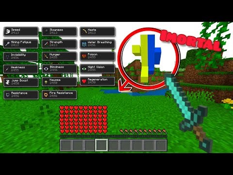 Virei imortal pra tentar derrotar meu amigo no Minecraft java!!!