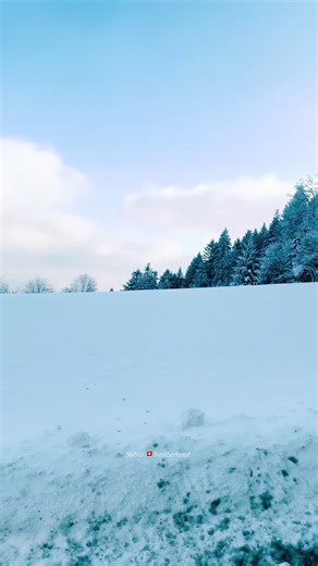 Beautiful Switzerland 🇨🇭#amazingviews #beautifulplaces #switzerland🇨🇭