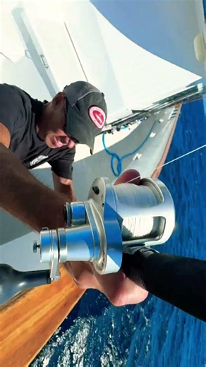 Accurate Fishing Reels: Pure Power! #Shorts