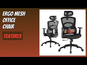 REVIEW (2026): Ergo Mesh Office Chair. Features