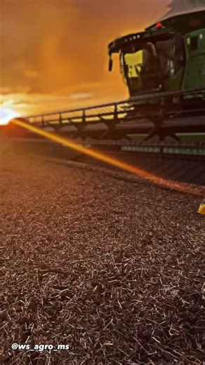 Welliton dos Santos Silva  on Instagram: "Duvido jogar nos story esse reels👀😂"