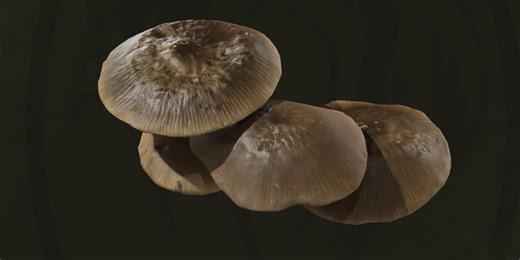 How to Collect All Mushroom Types in Metal Gear Solid Delta: Snake Eater