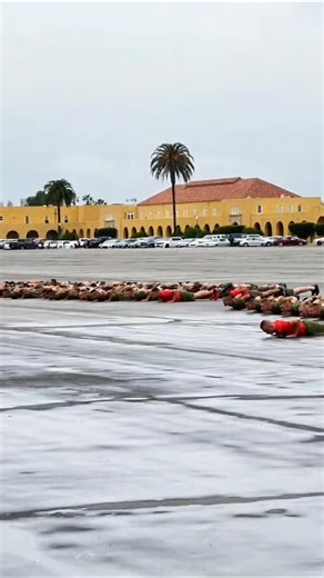 Marines Corps: Cadence Push-Ups. #marines #usmc #marinecorps #usmarines #cadence