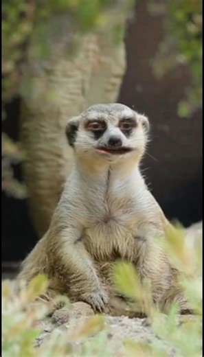 Questions taxi drivers always get asked 😂🚕 #Taxi #TaxiDriver #Comedy #Wales #Welsh #NYE #NewYearsEve | All Things Welsh