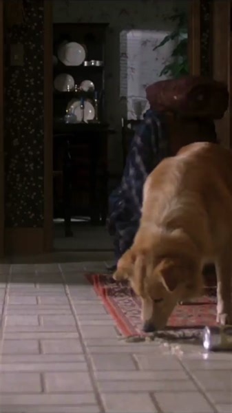 ET the Extra-Terrestrial Movie: Little Legs and Round Body Explained