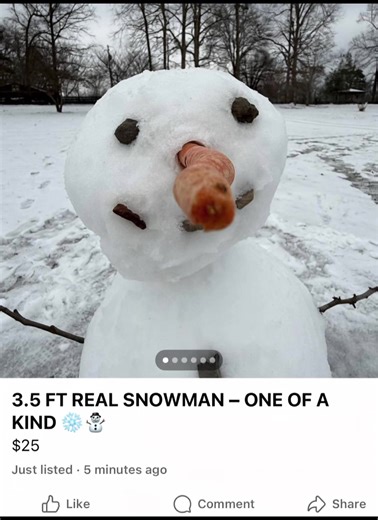If anyone is in the market for a snowman, link in bio… #snowman #snow #winter
