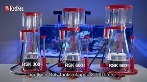 66K views · 588 reactions | They're HERE! We’re happy to announce...