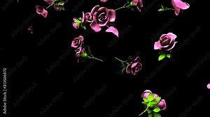 Falling Pink Roses On Black Background.3DCG render Animation.