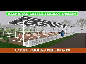 CATTLE HOUSING DESIGN | STANDARD CATTLE FEEDLOT | CATTLE FARMING PHILIPPINES