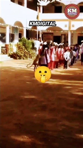 Odia_Ringtone Hello Tune#newringtone2__Ringtone_Odia