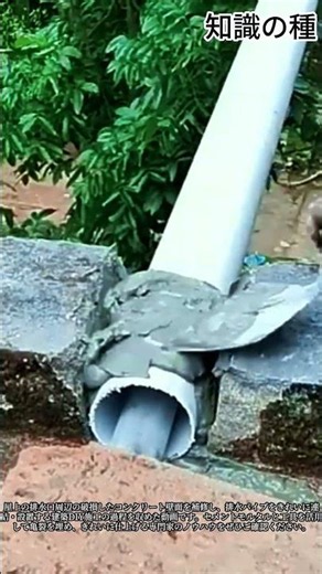 屋上の排水パイプを完璧に補修する方法