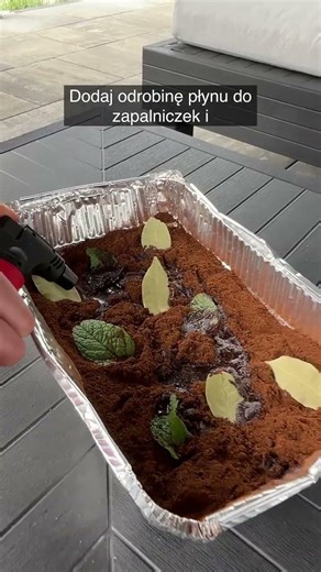 Peaceful evenings without mosquitoes – check out this home trick
