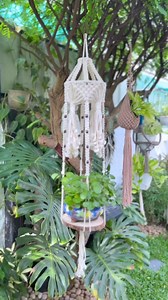 18K views · 197 reactions | Macrame Plant hangers - Place your orders through WhatsApp :8606454420 #macrame #planthangers | TG The Gardener | Facebook