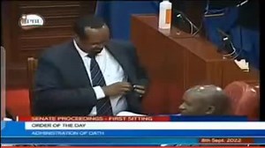 12K views · 359 reactions | UDM Party leader, Pioneer Governor and current senator General Captain Kulmiye Ali Roba takes oath in Senate. | Hassan Cameroon Media | Facebook