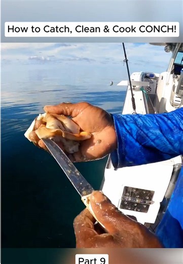 How to Beach Fish for Pompano and Sheepshead (Catch & Cook) #kellyyoung #fish #fishing #virul #fypシ