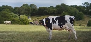 Ad of the Day: Waitrose tackles sustainability in food journey spot