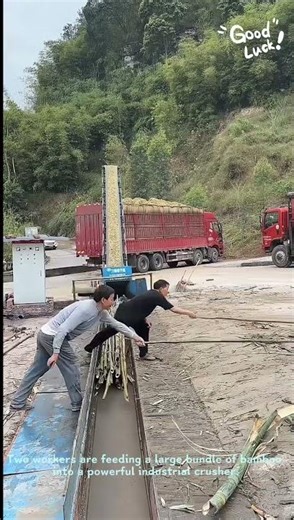 How Bamboo is Crushed for Recycling