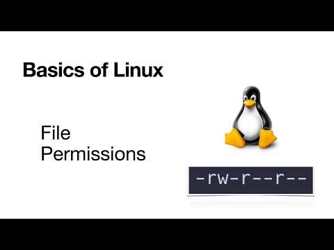 Linux File Permissions Explained | chmod & chown for Beginners!
