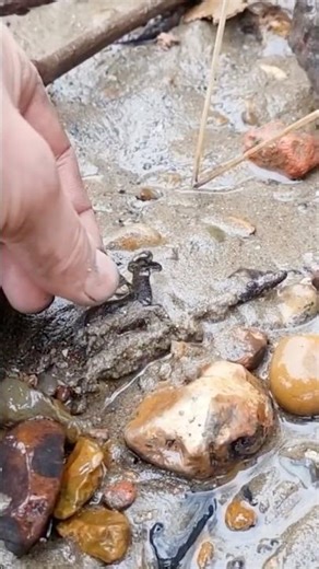 WW1 artefact pulled from the mud! #mudlarking #luckinthemuck #mudlover #WW1 #WW2 #metaldetecting