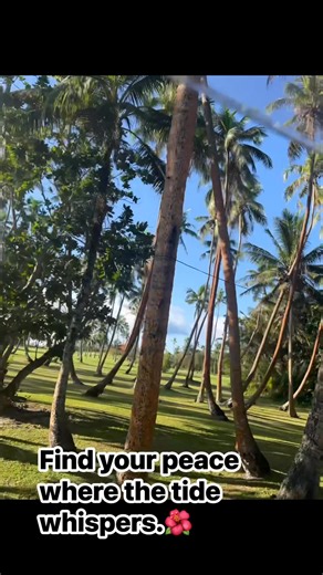 Drift into serenity, one wave at a time.🌴 #FijiVibes #OceanPeace #SerenityByTheSea #TropicalCalm #RelaxingMoments #BeachHealing Shangri-La Yanuca Island, Fiji | Yeth Pando