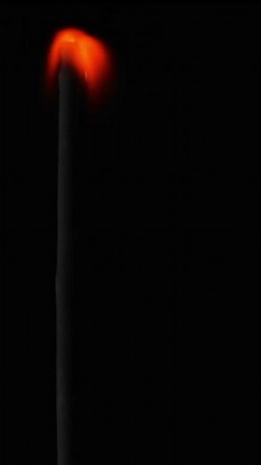 Burning of Magnesium Ribbon | Science Experiments at Home | #ExperimentShorts