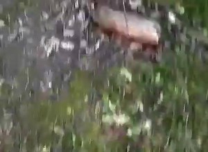 35K views · 148 reactions | UFO escorted by Air Force Fighters.. Is that real ????? 樂樂樂 | Ancient Aliens India | Facebook