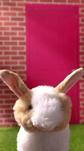 Easter, but make it egg-straordinary 🐰💐 Our Generation dolls add a sprinkle of magic to Easter adventures! ✨ Who’s ready for a basket full of fun? 🙋‍♀️ | Our Generation Dolls