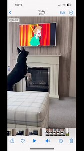 Barney enjoying his holiday | Stephen Kelleher