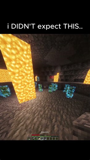 What did i JUST see???