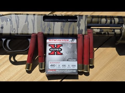 Winchester Super X .410 3" 5 Pellet 000 Buck Home Defense Test W/ Mossberg 500 & Cylinder Choke