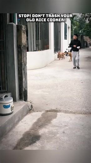 Repurpose Your Old Rice Cooker for Solar Water Heating