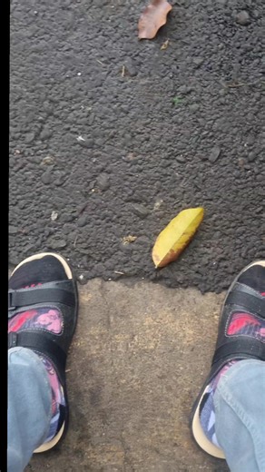 Kontes Jatisrono: Persiapan dan Keseruan di Lokasi