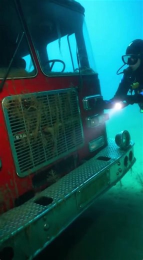 #LostWarshipsHunter #WarshipWrecks #SunkenWarships #ShipwreckDiving #UnderwaterExploration #DeepSeaDiving #WreckHunter #OceanDiscovery #MaritimeHistory #UnderwaterAdventure | Nature speaks