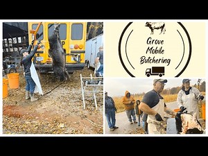 Grove Mobile Butchering