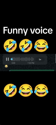 Hilarious Funny Voice Compilation