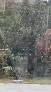 2.2K views · 22 reactions | John Smith on Reels | Facebook